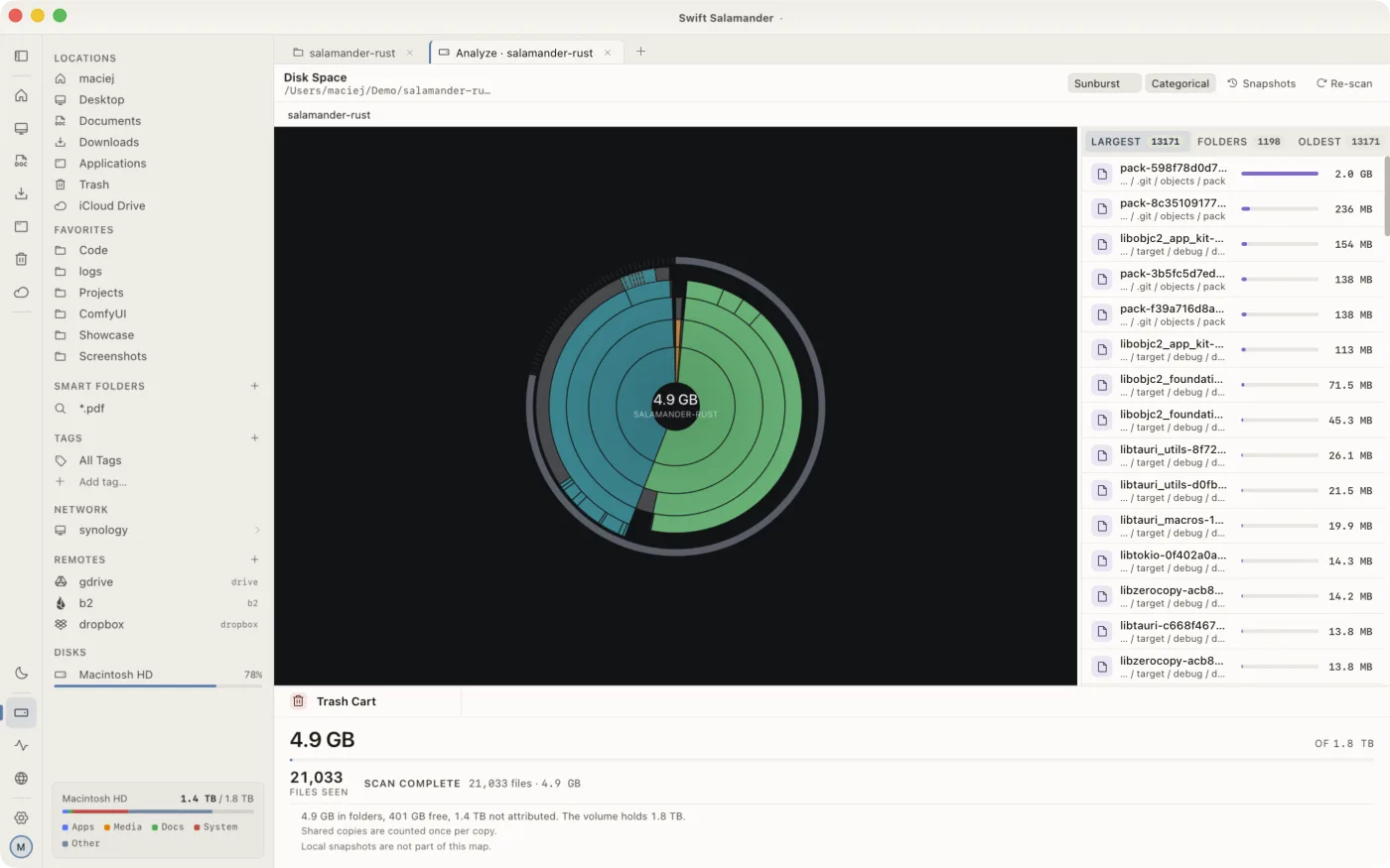 The disk analyzer: a sunburst of nested rings with a ranked list of the largest files beside it